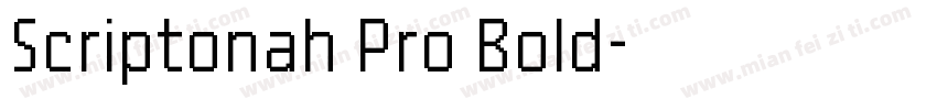 Scriptonah Pro Bold字体转换